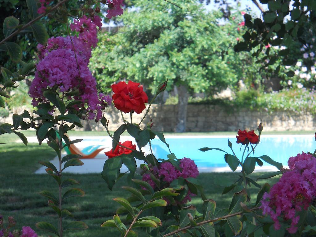 Villa Il Giardino Dei Carrubi Donnalucata  Zimmer foto