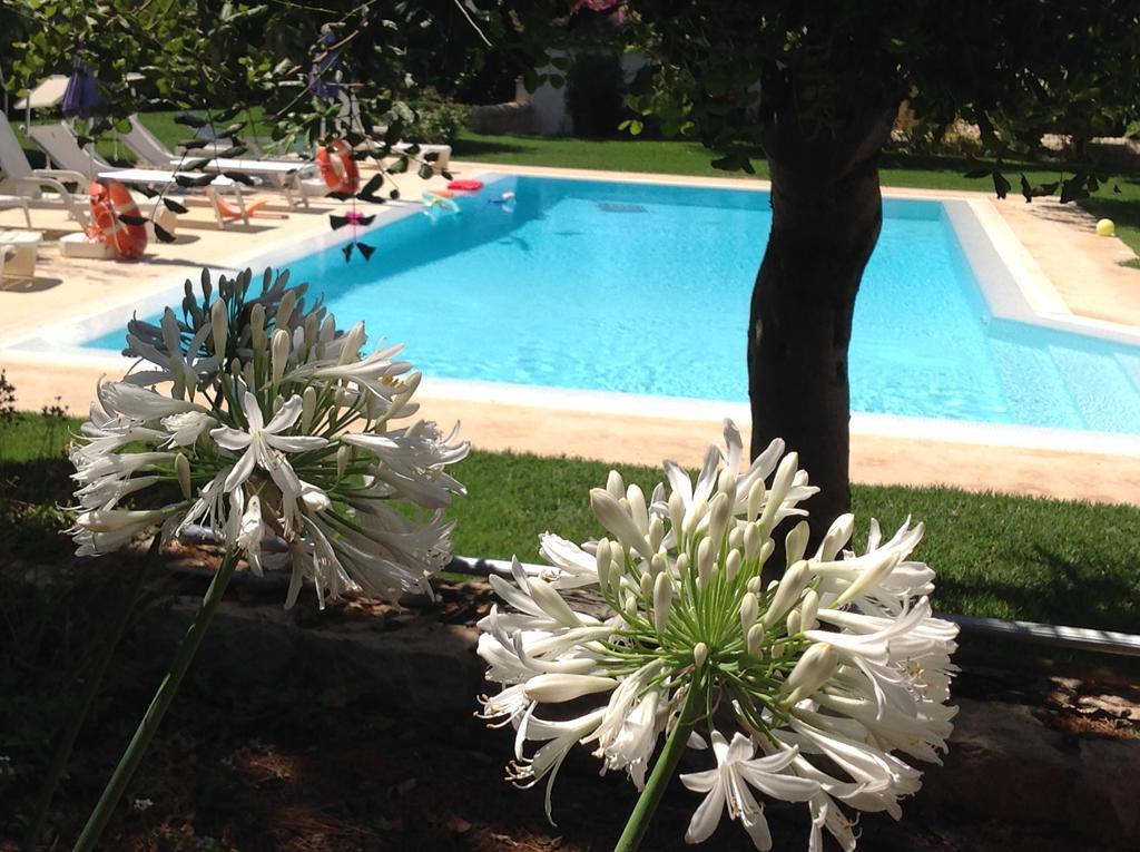 Villa Il Giardino Dei Carrubi Donnalucata  Exterior foto